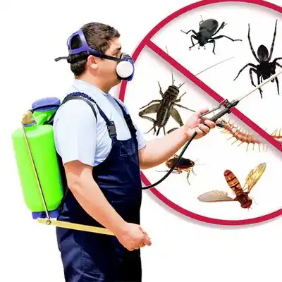 pest control Bettsville